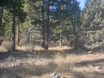 Undeveloped Land in Klamath County, Oregon
