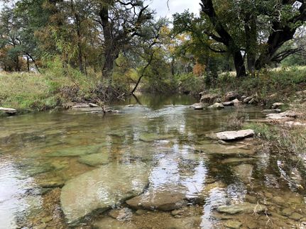 Hunting Property in Williamson County, Texas