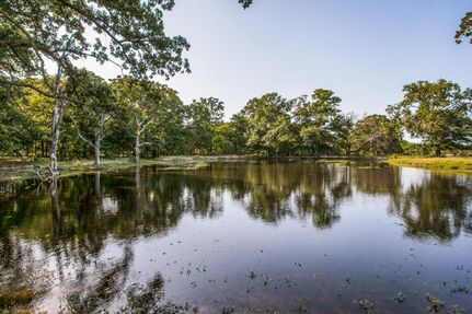 Timberland Property in Kaufman County, Texas