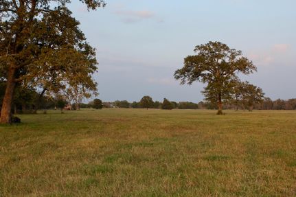 Farm and Ranch in Lee County, Texas