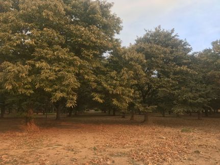 Farm and Ranch in Butte County, California