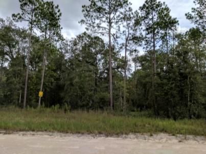 Undeveloped Land in Columbia County, Florida