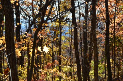 Recreational Property in Hancock County, Tennessee
