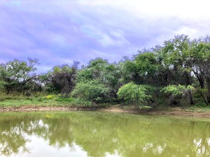 Farm and Ranch in Webb County, Texas