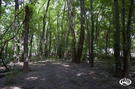 Riverfront Property in Henderson County, Illinois