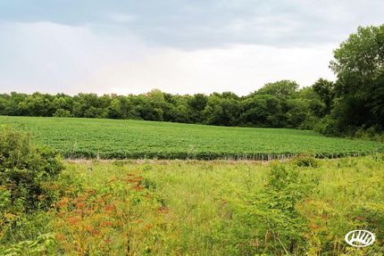 Land in DeKalb County, Missouri
