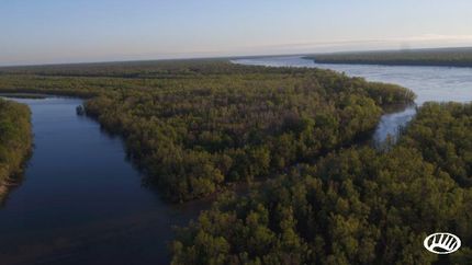 Farm and Ranch in Shelby County, Tennessee