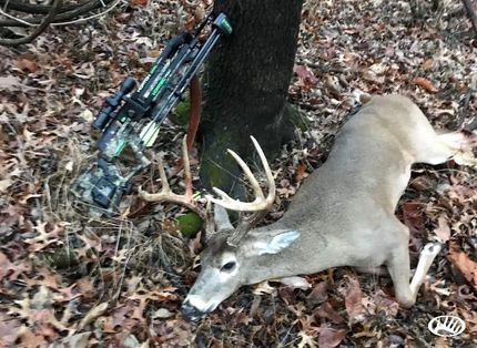 Farm and Ranch in Saline County, Illinois