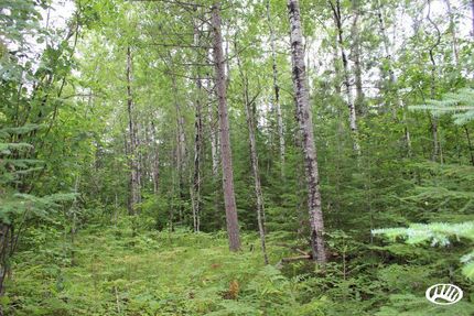 Land in Saint Louis County, Minnesota