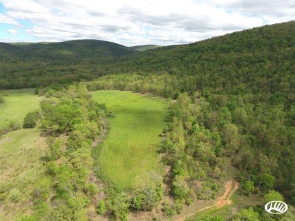 Timberland Property in Pushmataha County, Oklahoma