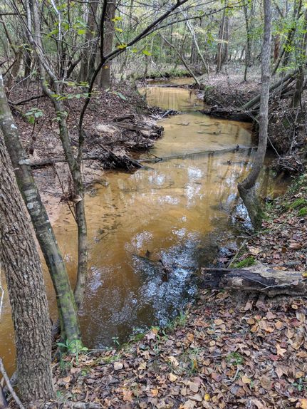 Recreational Property in Tyler County, Texas