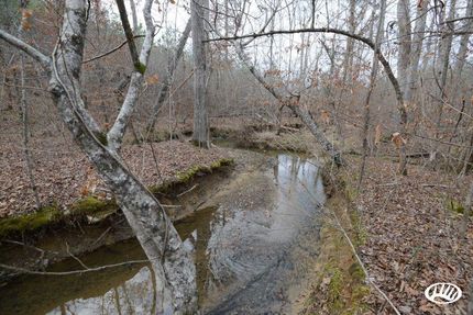 Farm and Ranch in Cherokee County, Alabama