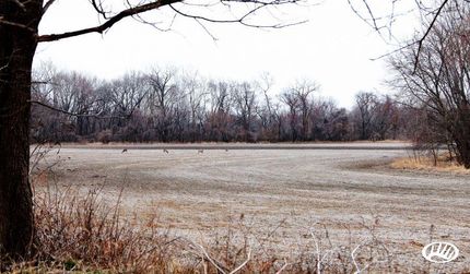 Farm and Ranch in Buchanan County, Missouri