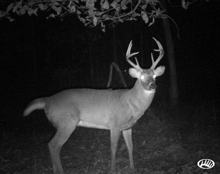 Farm and Ranch in Livingston County, Kentucky