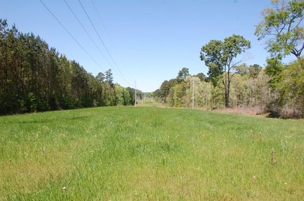 Timberland Property in Amite County, Mississippi