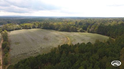 Hunting Property in Cherokee County, Alabama