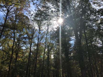 Riverfront Property in Attala County, Mississippi