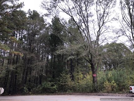 Timberland Property in Simpson County, Mississippi