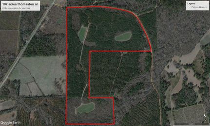 Undeveloped Land in Marengo County, Alabama
