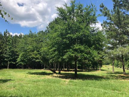 Recreational Property in Leon County, Texas