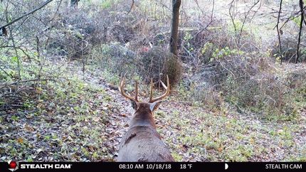 Farm and Ranch in Richland County, Wisconsin