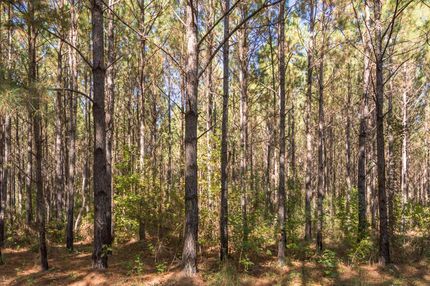 Recreational Property in Escambia County, Alabama