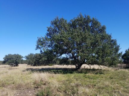 Farm and Ranch in Williamson County, Texas