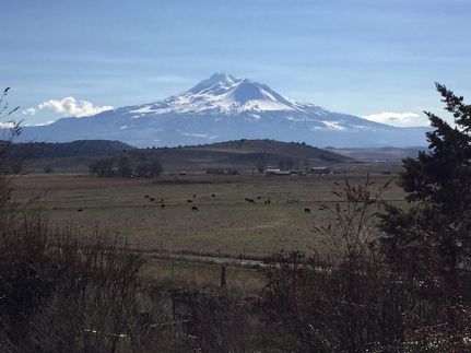Land in Siskiyou County, California