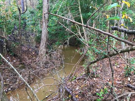 Undeveloped Land in Newberry County, South Carolina