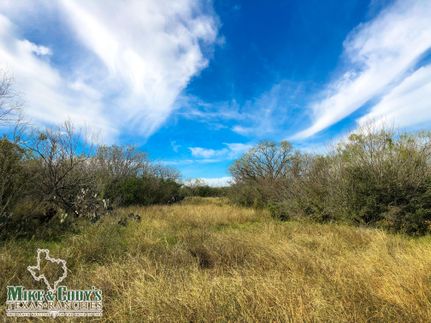 Land in Frio County, Texas