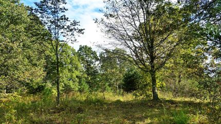 Farm and Ranch in Wayne County, West Virginia