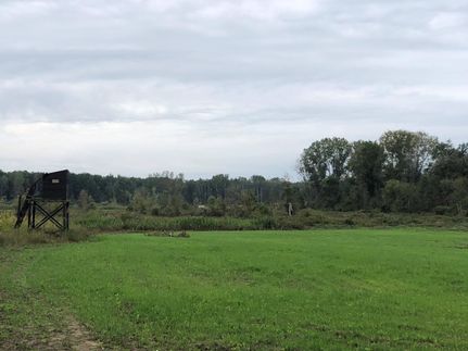 Undeveloped Land in Sanilac County, Michigan