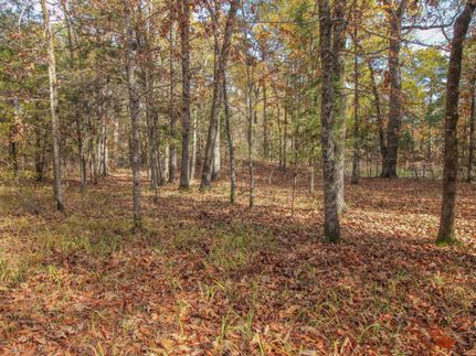 Undeveloped Land in Red River County, Texas