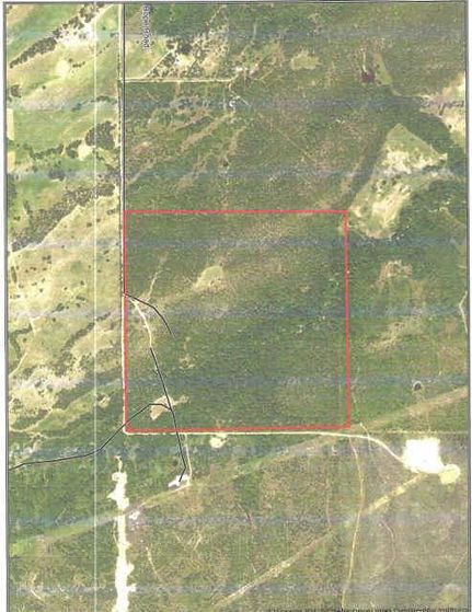 Timberland Property in Atoka County, Oklahoma