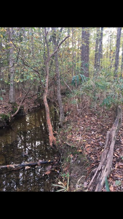 Commercial Property in Pike County, Georgia