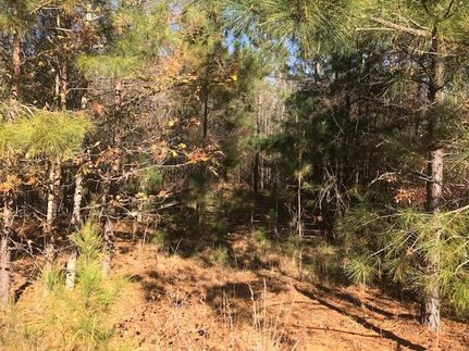 Undeveloped Land in Union County, South Carolina