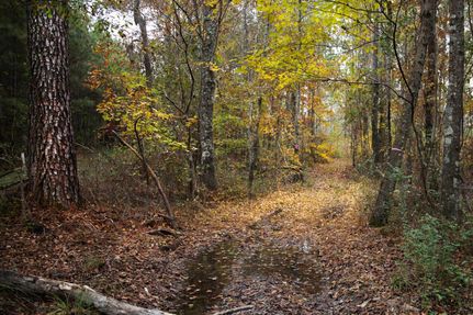 Undeveloped Land in Chilton County, Alabama