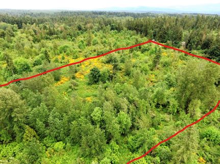 Timberland Property in Pierce County, Washington