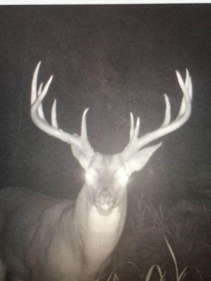 Timberland Property in Concordia Parish, Louisiana