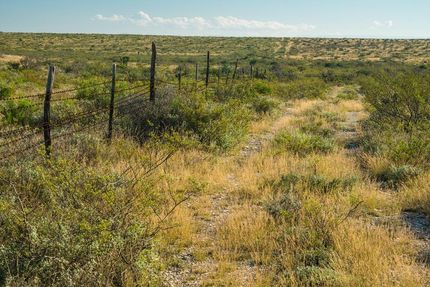 Recreational Property in Terrell County, Texas