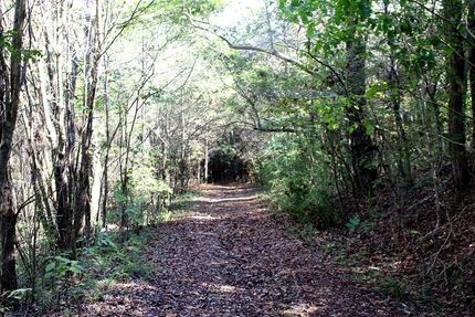 Farm and Ranch in Colbert County, Alabama