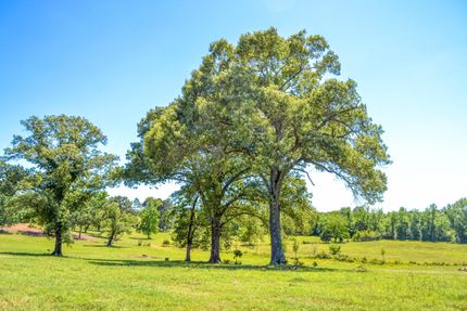 Commercial Property in Henderson County, Texas