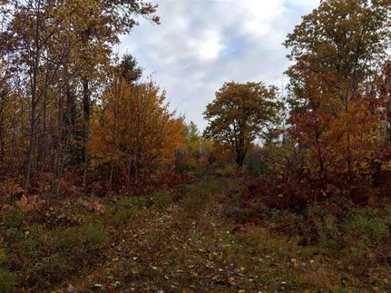 Hunting Property in Marquette County, Michigan
