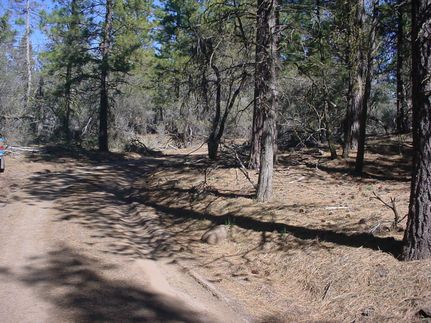 Undeveloped Land in Klamath County, Oregon