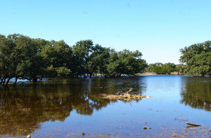 Farm and Ranch in Edwards County, Texas