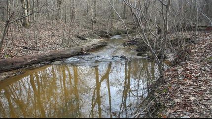 Farm and Ranch in Talladega County, Alabama