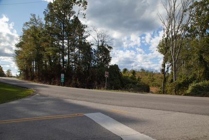 Timberland Property in Jefferson County, Alabama