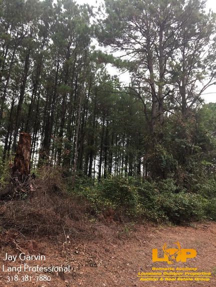 Recreational Property in Jackson Parish, Louisiana
