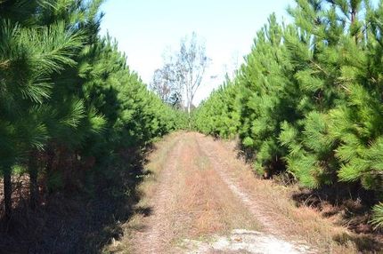 Recreational Property in Jefferson County, Georgia