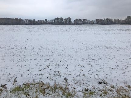 Undeveloped Land in Clay County, Illinois